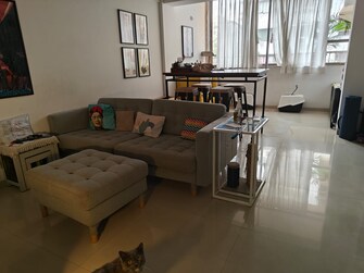 2 BHK Apartment For Resale in Cozy Home Bandra West Mumbai  7015377