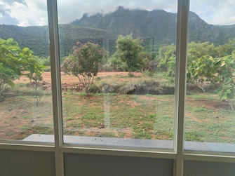 Plot For Resale in Kodaikanal Dindigul  7015902