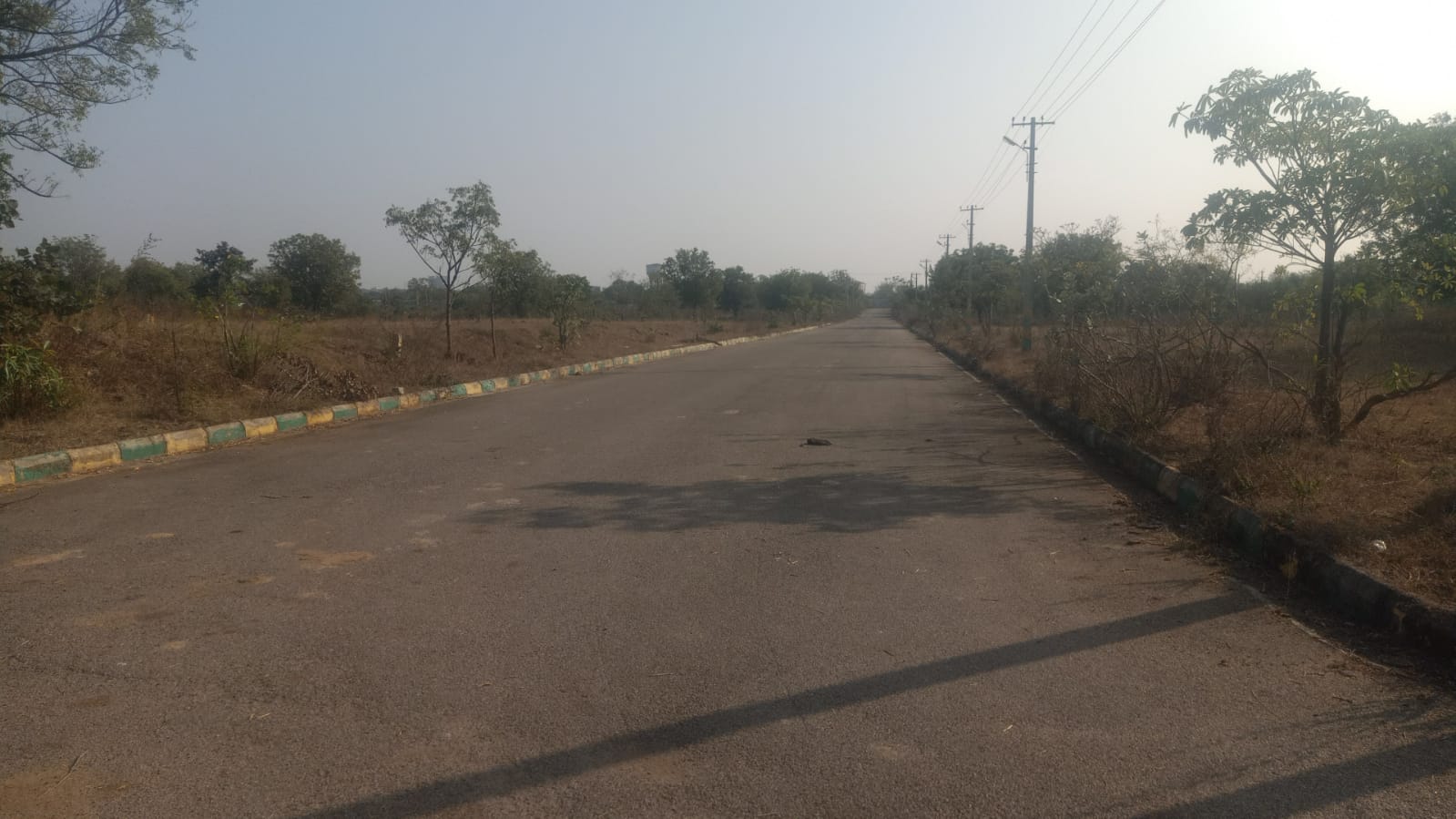 Plot For Resale in Bhanur Hyderabad  7015993