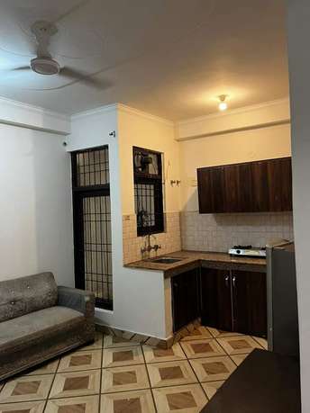 1 BHK Builder Floor For Rent in Saket Delhi  7016374