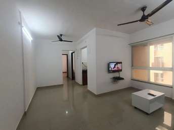 2 BHK Apartment For Rent in DB Orchid Ozone Dahisar East Mumbai  7016594