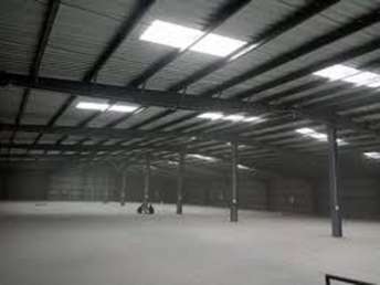 Commercial Warehouse 10000 Sq.Ft. For Rent In Sector 13 Gurgaon 7017481
