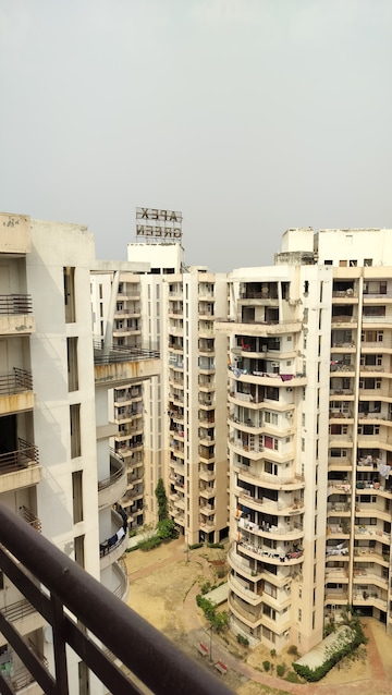 3 BHK Apartment For Resale in Apex Green Sector 8 Sonipat  7017548