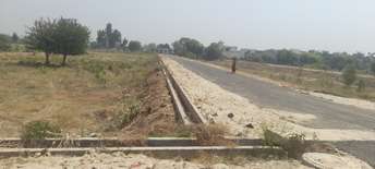 Plot For Resale in Sadopur Greater Noida  7018457