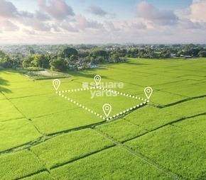 Commercial Land 210 Acre For Resale In Shabad Hyderabad 7018505