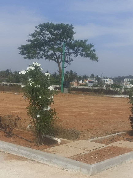 Plot For Resale in Brinda Imperial Jigani Bangalore  7018783