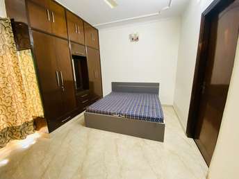 3 BHK Builder Floor For Rent in DLF Exclusive Floors Sector 53 Gurgaon  7019809