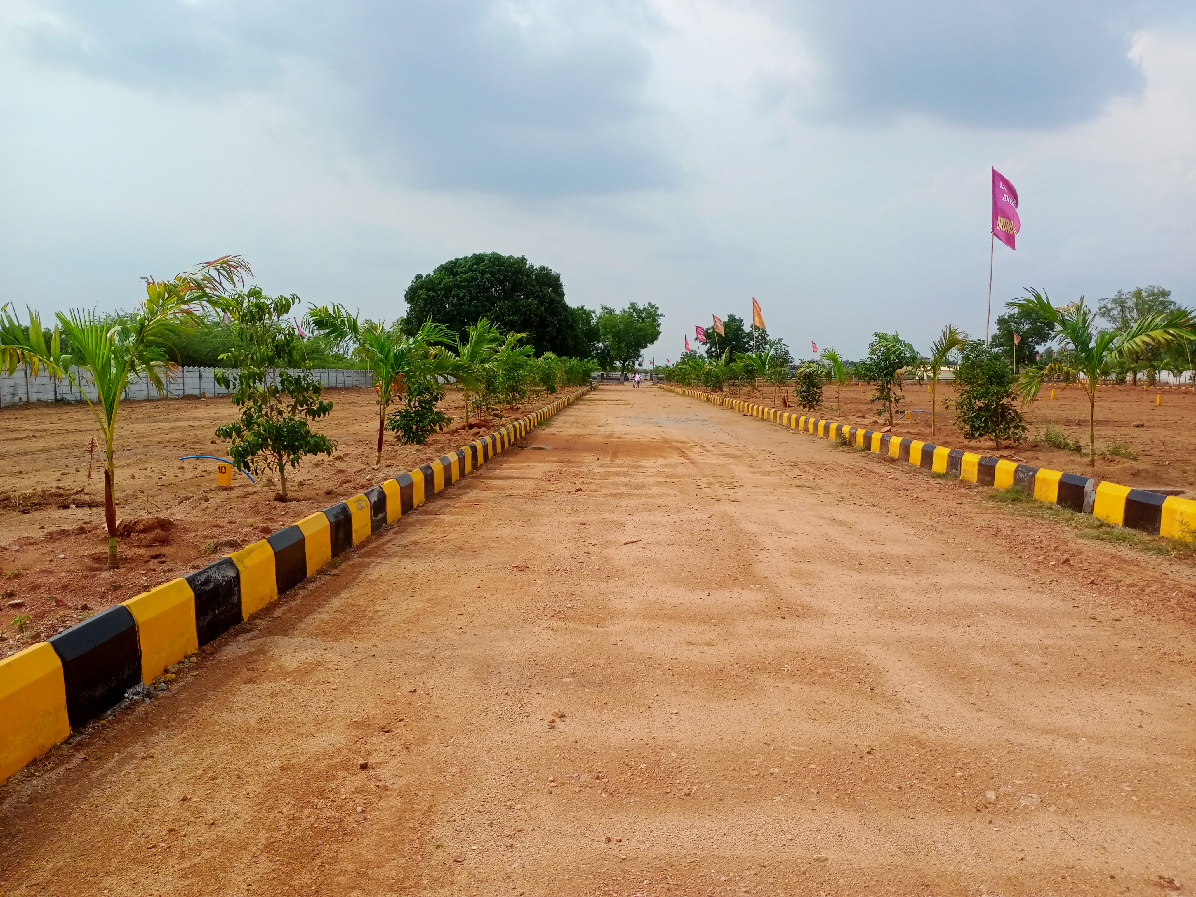 Plot For Resale in Mekaguda Hyderabad  7025923