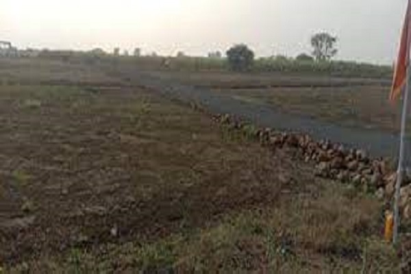 Plot For Resale in Sector 12 Panchkula Panchkula  7026697