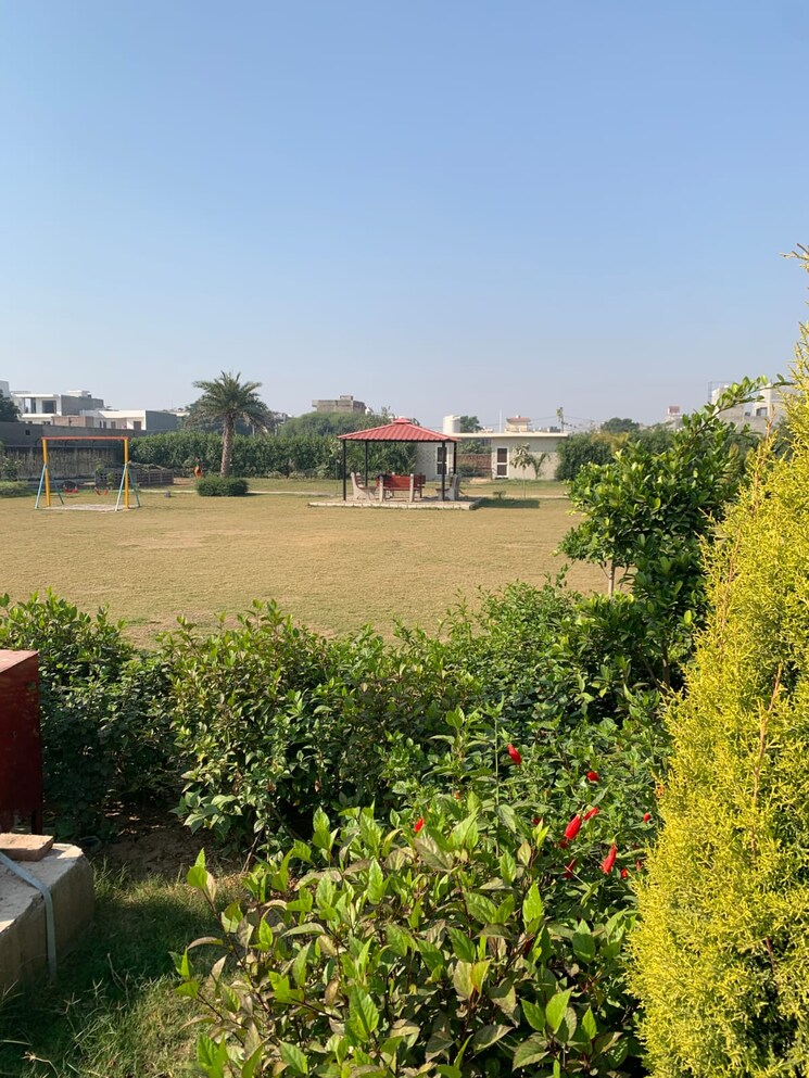 Garden, sector 126 2 Bedroom 100 Sq.Yd. Apartment In Sector 126 Mohali 7027091