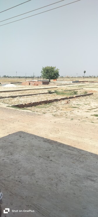 Plot For Resale in Jeevan Nagar Faridabad  7028724