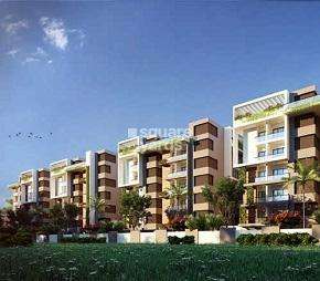 2 BHK Apartment For Rent in Ayyanna Prestige Kondapur Hyderabad 7030190