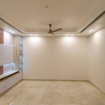 1 BHK Apartment For Rent in Kamdhenu Shopping Centre Andheri West Mumbai  7030682