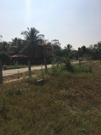 Plot For Resale in Hunsur Road Mysore  7031032