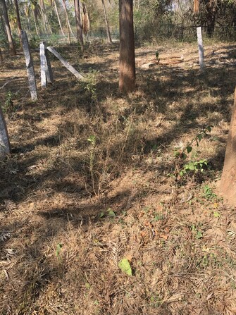 Plot For Resale in Hunsur Road Mysore  7031032