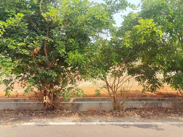 Plot For Sale in Vishweshwaraiah Layout
