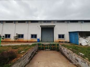 Commercial Warehouse 10000 Sq.Ft. For Rent in Kadakola Mysore  7032018