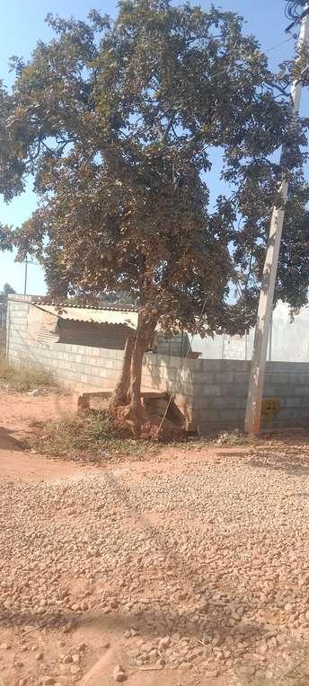 Plot For Resale in Gantiganahalli Bangalore  7032061