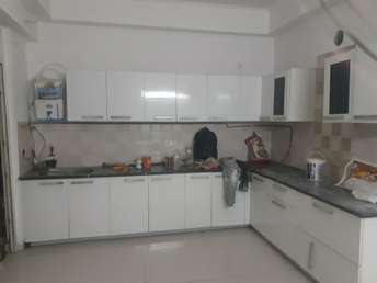 2 BHK Apartment For Rent in Sarvottam Nx One Noida Ext Tech Zone 4 Greater Noida  7032538