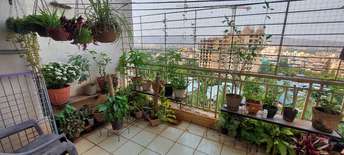 2 BHK Apartment For Rent in Meridian Apartment Nerul Sector 6 Navi Mumbai 7032732