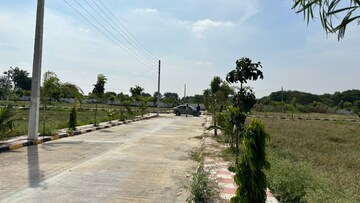  Plot For Sale in Shadnagar