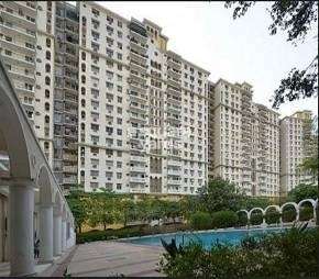 4 BHK Apartment For Rent in DLF The Belvedere Park Sector 24 Gurgaon  7035000