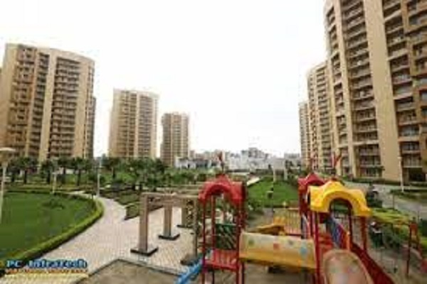 3 BHK Builder Floor For Rent in Sector 20 Panchkula  7036072