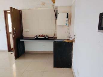 1 BHK Apartment For Rent in Paranjape Blue Ridge Hinjewadi Pune  7037054