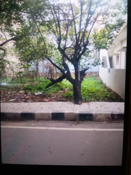 Plot For Resale in Jp Nagar Bangalore  7037469