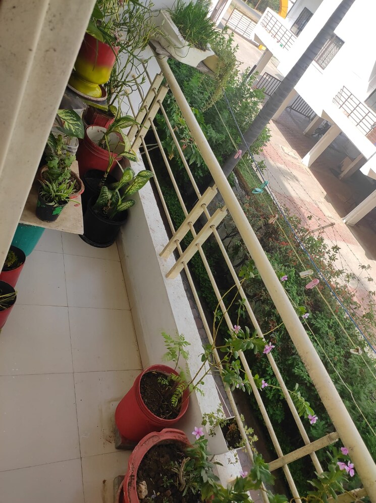 Balcony, katara hills 3 Bedroom 1000 Sq.Ft. Apartment In Katara Hills Bhopal 7037711