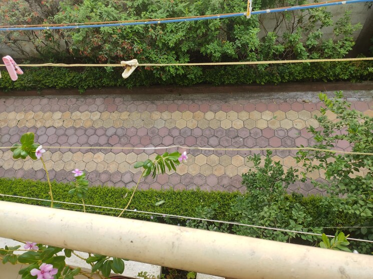 Exterior View, katara hills 3 Bedroom 1000 Sq.Ft. Apartment In Katara Hills Bhopal 7037711