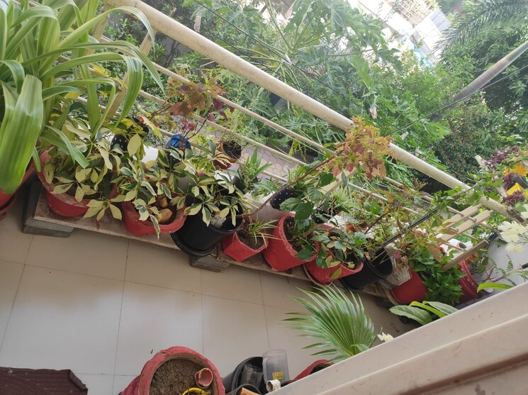 Balcony, katara hills 3 Bedroom 1000 Sq.Ft. Apartment In Katara Hills Bhopal 7037711