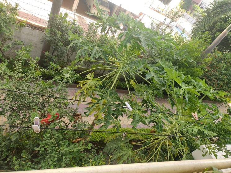 Balcony, katara hills 3 Bedroom 1000 Sq.Ft. Apartment In Katara Hills Bhopal 7037711