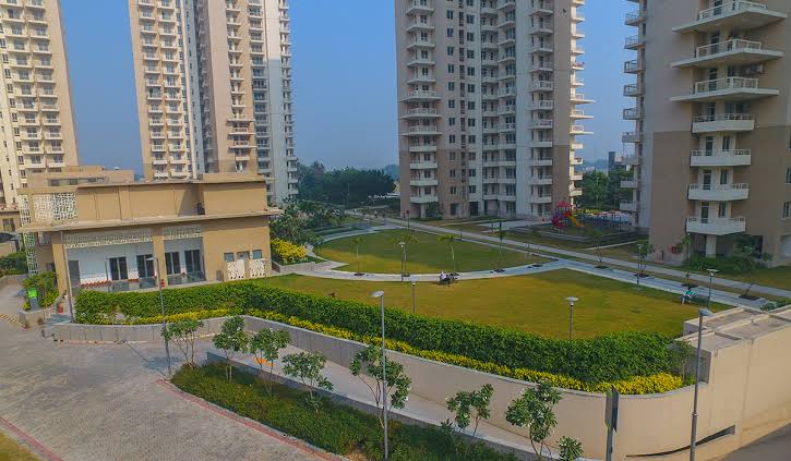 3.5 BHK Apartment For Rent in Alphacorp Gurgaon One 84 Sector 84 Gurgaon  7038279