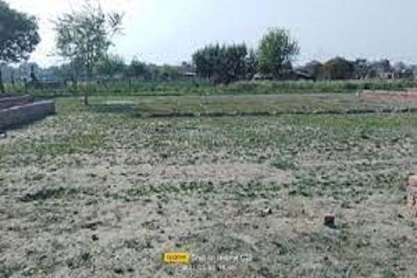 Plot For Resale in Sector 12 Panchkula Panchkula  7038872