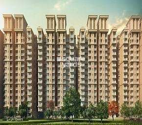 2 BHK Apartment For Rent in Signature Global The Millennia Sector 37d Gurgaon  7040105