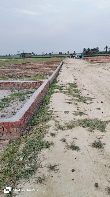 Plot For Resale in Sector 14 Faridabad  7040476