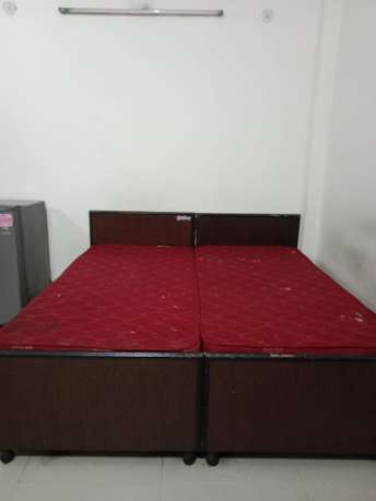 1 BHK Builder Floor For Rent in Unitech Arcadia South City 2 Gurgaon 7040228