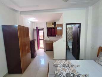 1 BHK Independent House For Rent in Unitech Arcadia South City 2 Gurgaon 7040676