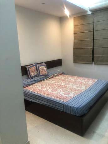 3 BHK Apartment For Rent in RWA Defence Colony Block A Defence Colony Delhi 7042655