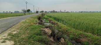 Commercial Land 8 Acre For Resale In Mant Mathura 7042973