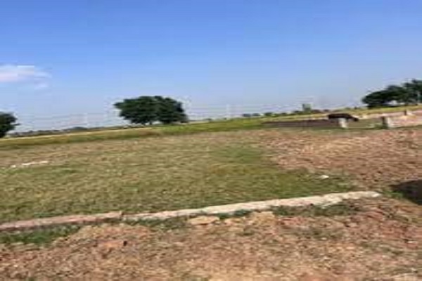 Plot For Resale in Sector 12 Panchkula Panchkula  7043094