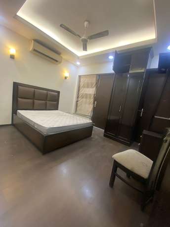 4 BHK Builder Floor For Rent in DLF Atria Dlf Phase ii Gurgaon  7043232