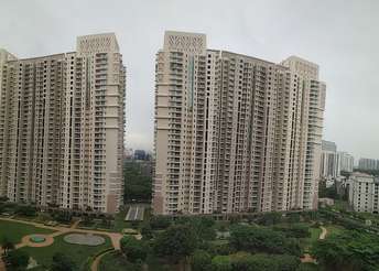 3 BHK Apartment For Rent in DLF Park Place Sector 54 Gurgaon  7043547