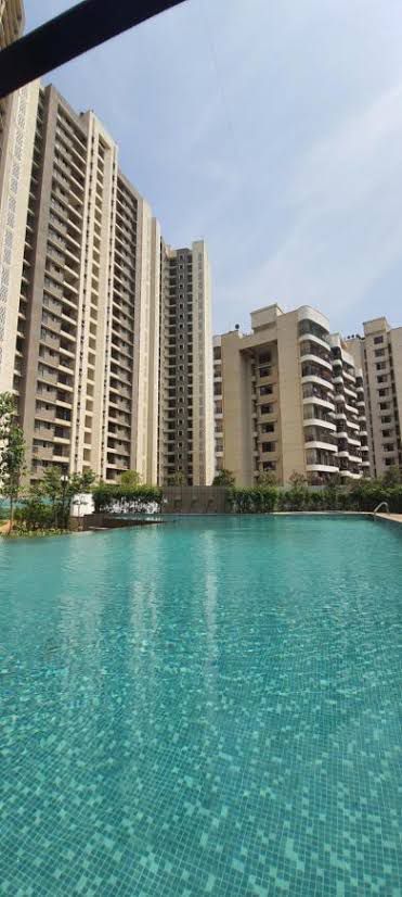 Studio Apartment फॉर रेंट इन Lodha Casa Maxima Mira Road East Mumbai  7043627