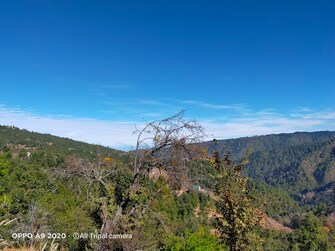 Plot For Resale in Kosani Road Almora  7043712