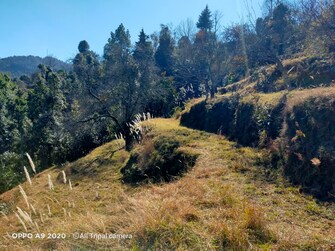 Plot For Resale in Kosani Road Almora  7043712