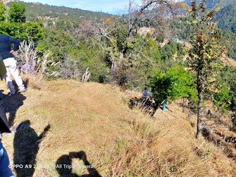 Plot For Resale in Kosani Road Almora  7043712