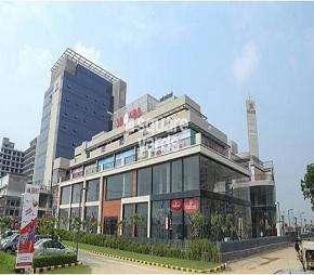 Commercial Shop 520 Sq.Ft. For Rent in Sector 70 Gurgaon  7043729