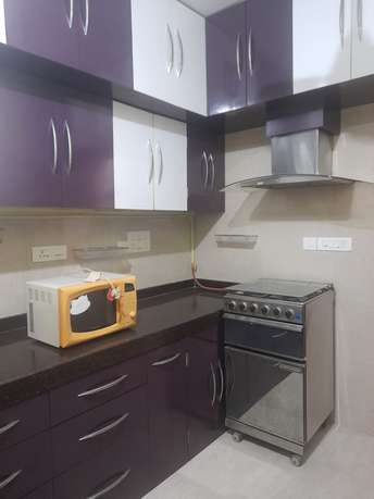 2.5 BHK Apartment For Rent in Hiranandani Paloma Ghodbunder Road Thane  7043995